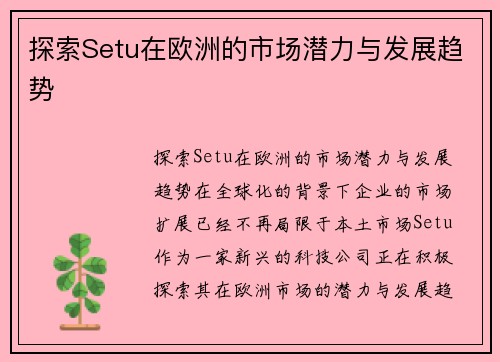 探索Setu在欧洲的市场潜力与发展趋势